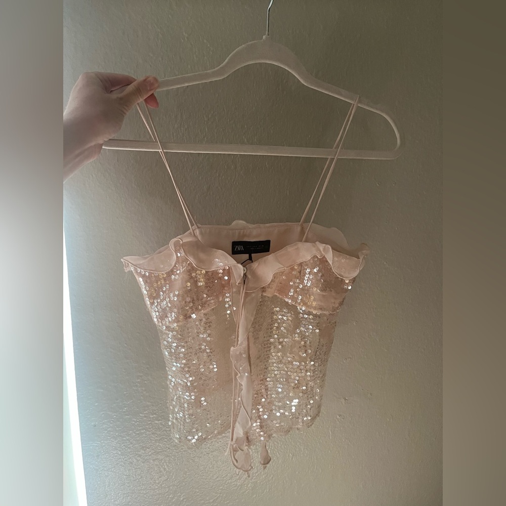 Zara Light Pink Sequin Top